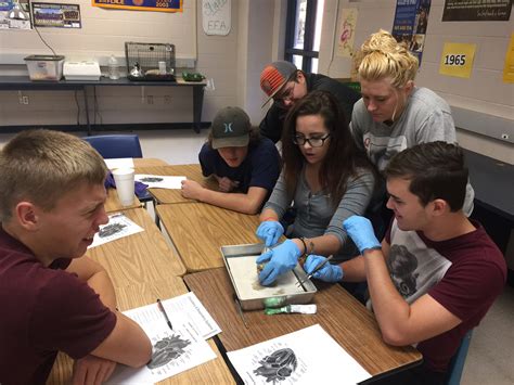 All Science Project 的图像结果