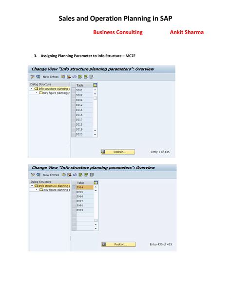 Sales and Operation Planning in SAP | PDF