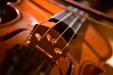 Image result for String Instruments