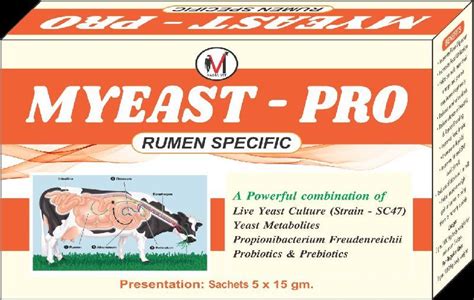 Myeast- Pro Powder Supplier from Sangrur