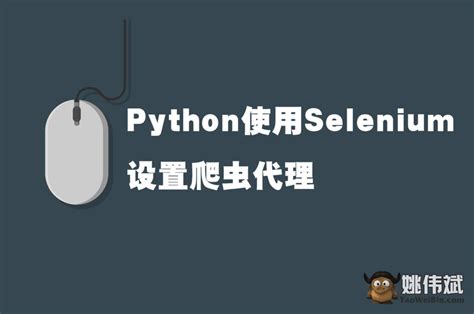 How Too Use Proxies On Python Selenium 的图像结果