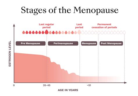 What's Actually Happening In Your Body When You're In Perimenopause?| Wild.AI