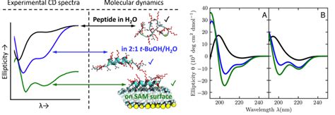 Image result for Simulation Interaction Diagram Molecular Dynamics