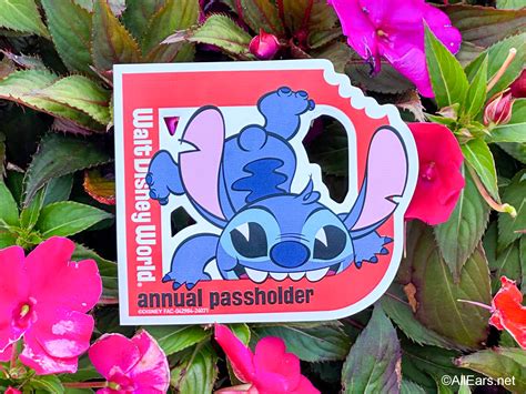 NEW Disney World Annual Passholder Discount on Souvenirs Confirmed ...