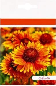 VibeX HUA-65 - Gaillardia Dwarf Goblin Flower - (60 Seeds) Seed Price ...
