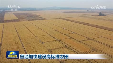 农田 的图像结果