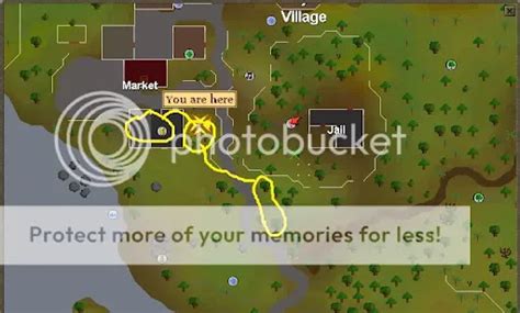 OSRS F2P Willow Trees Guide Best Spots and Tips for Woodcutting Success ...