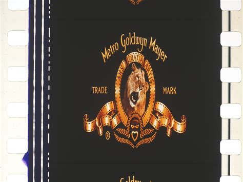 Image result for Matrix Open Matte