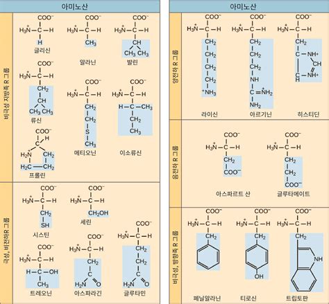 Image result for Overlapping Modular Pattern