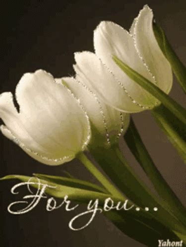 Image result for Tulips Flower Using Python