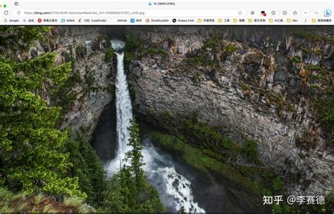 Bing手机壁纸 的图像结果