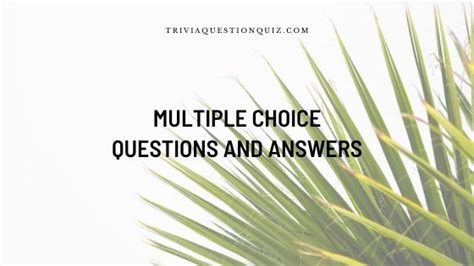 Questions with Multiple Answers 的图像结果