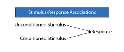 Image result for Declarative vs Non Declarative Memory