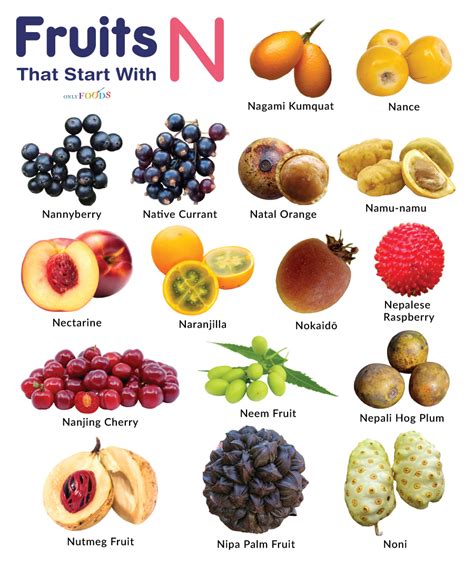 Vegetables And Fruits That Start With N at Royce Mcguigan blog