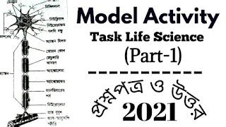 Class 10 Model Activity Task Part 8 Life Science 的图像结果