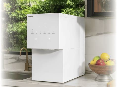 Where Are Coway Water Purifiers Made? | Manufacturing & Quality