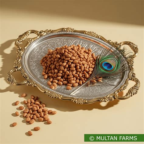 Buy Bhuna Chilgoza (Roasted Pine Nuts) - Multan Farms