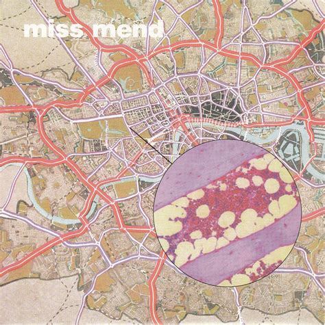 Macromatic: Miss Mend: Amazon.in: Music}