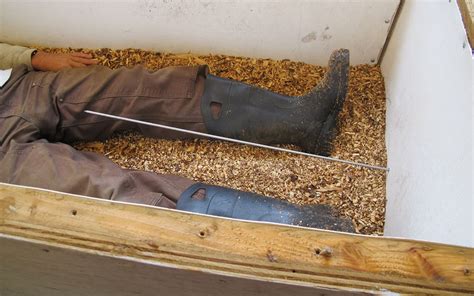 Image result for Compost Autopsy