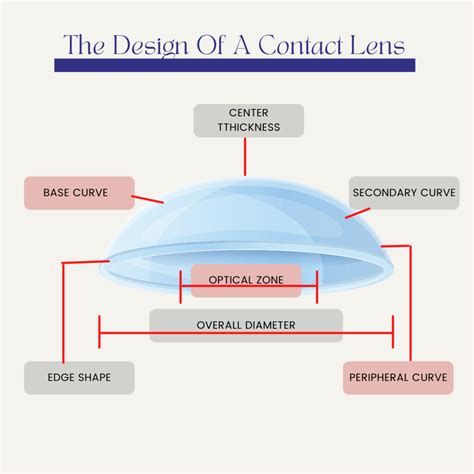 BASIC CONTACT LENS TERMINOLOGY Diagram | Quizlet