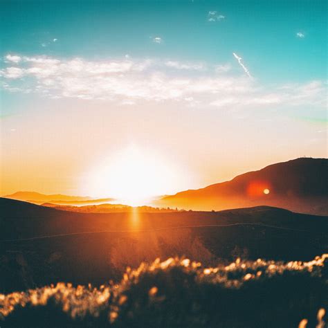 A Concrete Memoir: Unexpected Joy At Dawn