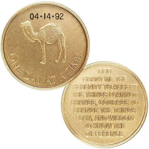 Personalized Custom Engraved - Camel One Day at A Time - Bronze AA ...