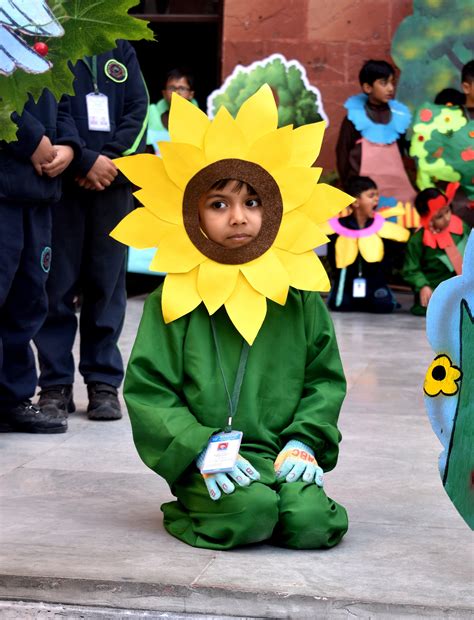 Vidya Bharati school, Rohini, Delhi | Photo Gallery