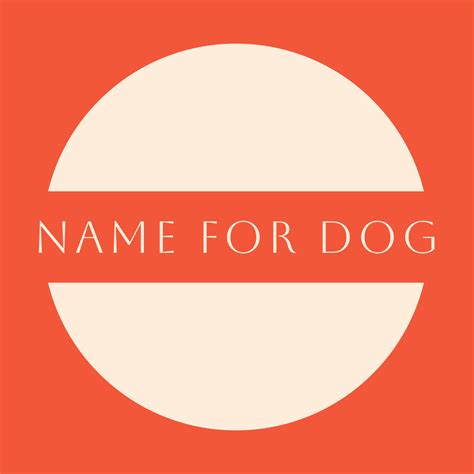 200+ Greek Mythology Dog Names: Epic, Heroic & Unique Ideas