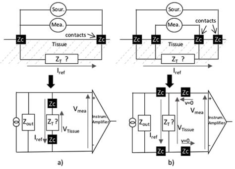 Fishes | Special Issue : Morphometrics in Fisheries and Aquaculture