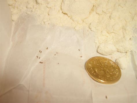 Worms are attacking my kitchen! - elektroda.com