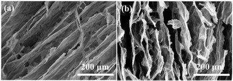 Self-Assembly and Properties of Elastic Nanocellulose-Carbon Airgel ...