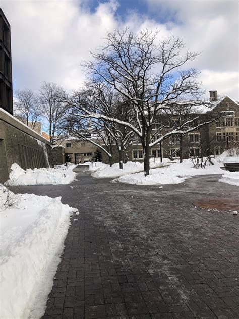 Cornell Campus Winter