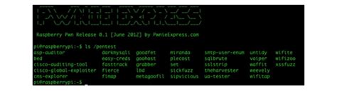 Image result for Things to Do with Raspberry Pi