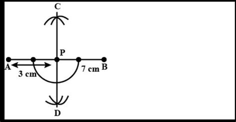 draw a line segment ab equal to 7 cm markuppoint P on a b such that AP ...