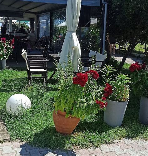 HOTEL NESTOR (Toroni) - Hotel Reviews, Photos, Rate Comparison ...