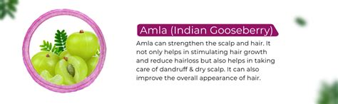 Buy Vcare Small Onion Shampoo for Hair Growth, Hairfall & Dandruff ...