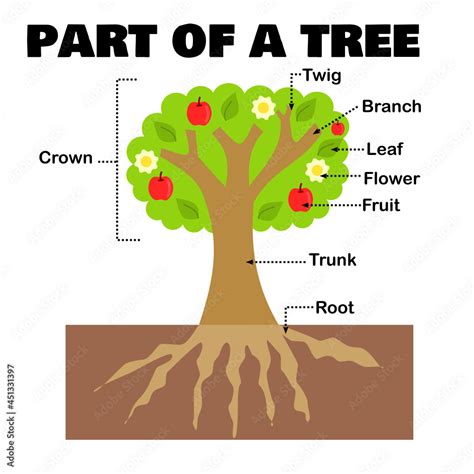 Image result for Tree Structure HTML/CSS