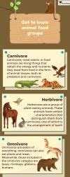 Infographics: Animals food - EVS for Class 1 PDF Download