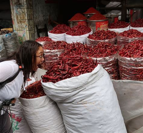 BIKE CHENGDU Guide (2026) All You Need to Know BEFORE You Go (with Photos)