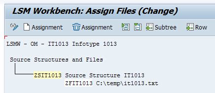 Image result for SAP LSMW Guide