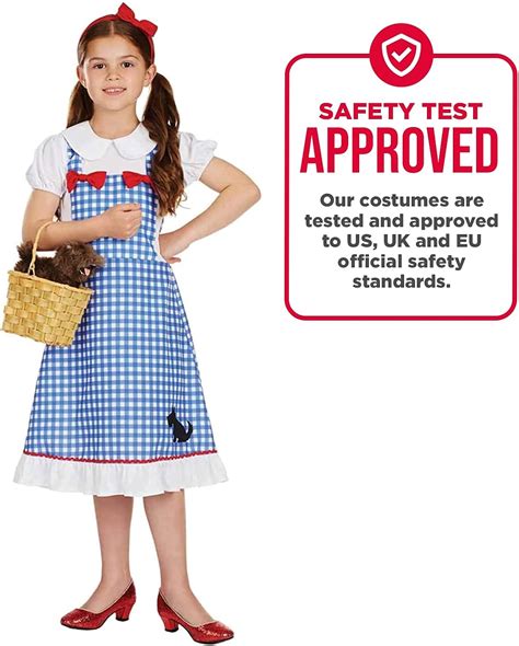 Buy Fun Shack Kids Dorothy Costume Kids Book Character Fancy Dress ...