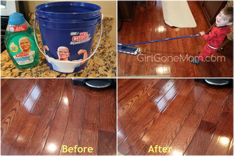 Mr Clean Hardwood Floor Cleaner at Abbey Takasuka blog