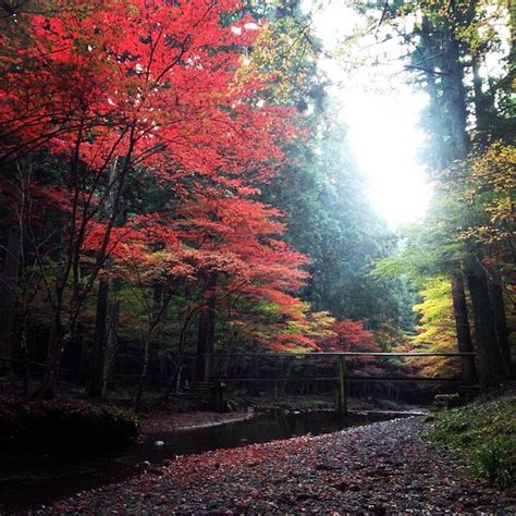 Mori-machi Tourism (2021): Best of Mori-machi, Japan - Tripadvisor
