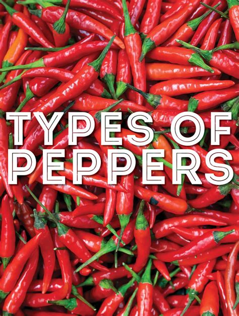 Types Of Hot Peppers