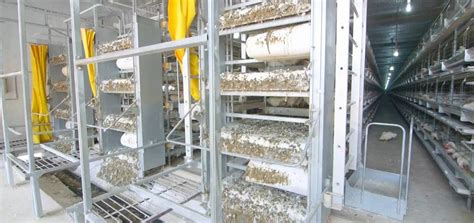 Poultry Cage - Poultry Layer Cages Trader - Wholesaler / Distributor ...