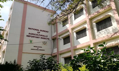 Shift From Chemical to Bio-Pesticides in Farming – The Softcopy