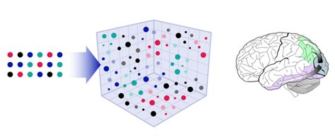 Vector Data Set 的图像结果