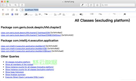 Java Hprof 的图像结果