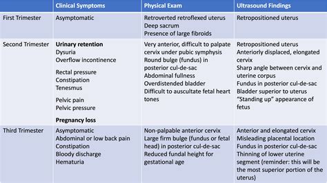 Incarcerated gravid uterus: a new treatment using the transvaginal ultrasound probe and ...