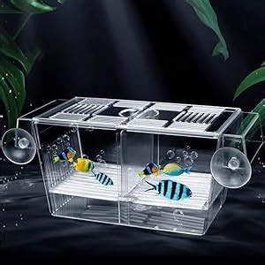 Animaux Chicos Aquarium Guppy/Betta Breeding Acrylic Transparent ...